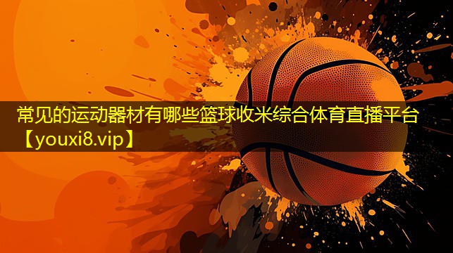 常见的运动器材有哪些篮球收米综合体育直播平台