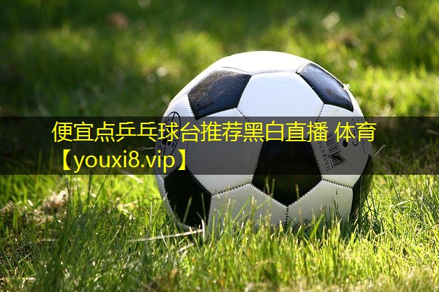 便宜点乒乓球台推荐黑白直播 体育