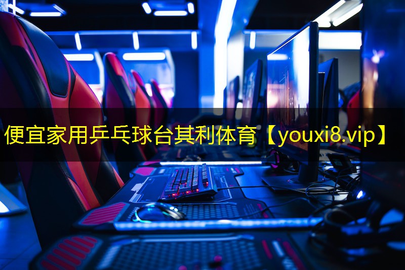 便宜家用乒乓球台其利体育