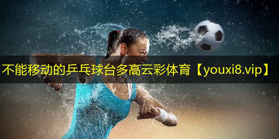 不能移动的乒乓球台多高云彩体育