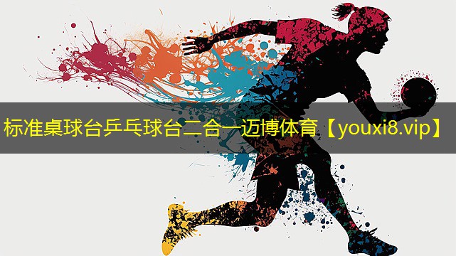 标准桌球台乒乓球台二合一迈博体育