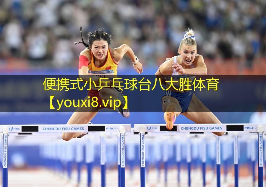 便携式小乒乓球台八大胜体育