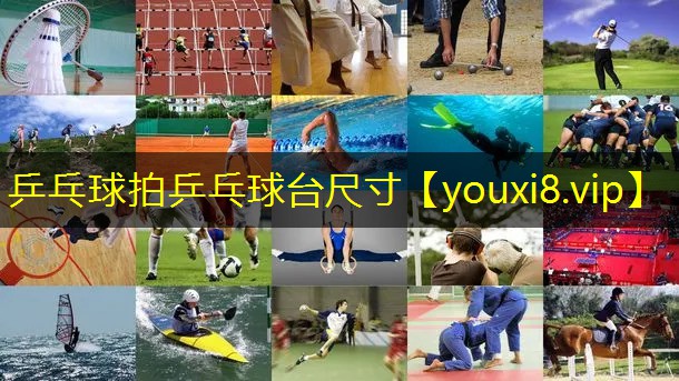 乒乓球拍乒乓球台尺寸